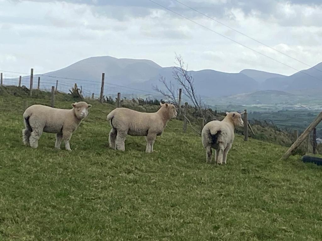 Hillhead Country Retreat * Castlewellan