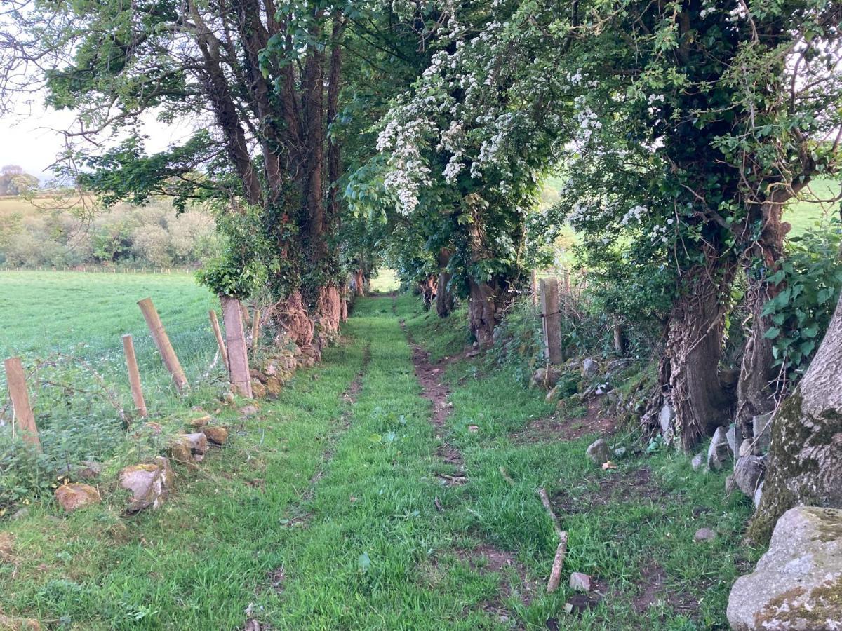 Hillhead Country Retreat *